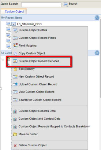 Custom_Object_Record_Services_2.png